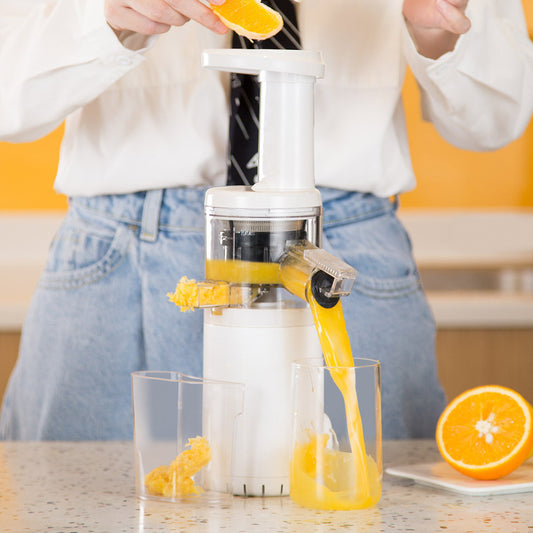 Electric Juicer Household Machine